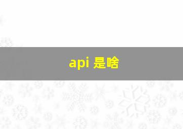 api 是啥